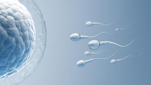 wie viel sperma um schwanger zu werden
